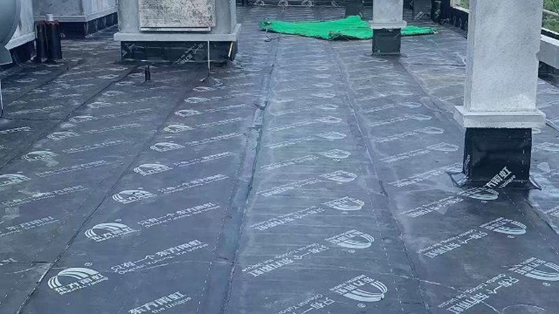 防水涂料环保性能型号区别解析
